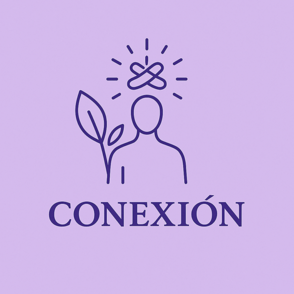 Conexión